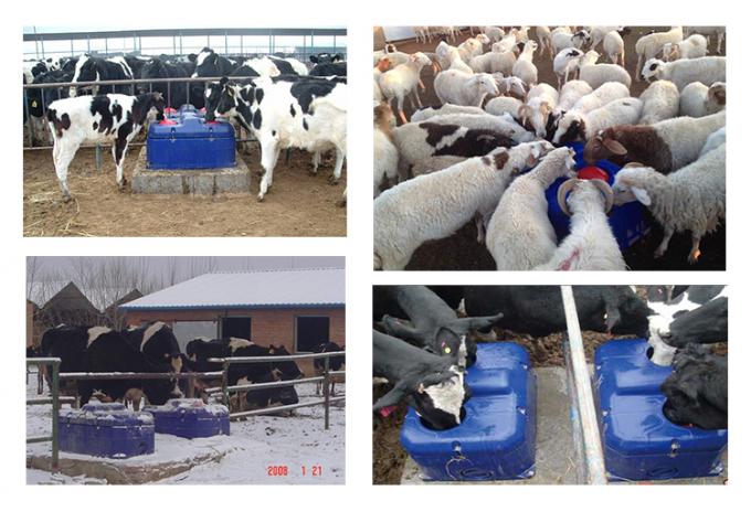 Don ücretsiz / ısı Otomatik Içme Suyu Kase / inek sığır koyun keçi antifrost tiryakisi yalak Hayvancılık çiftlik ekipmanları
